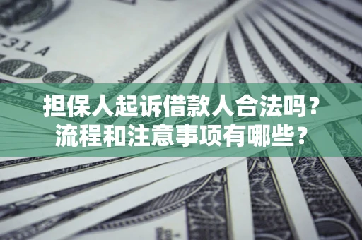 武汉担保人起诉借款人合法吗？流程和注意事项有哪些？