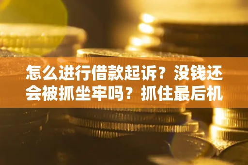 武汉怎么进行借款起诉？没钱还会被抓坐牢吗？抓住最后机会！