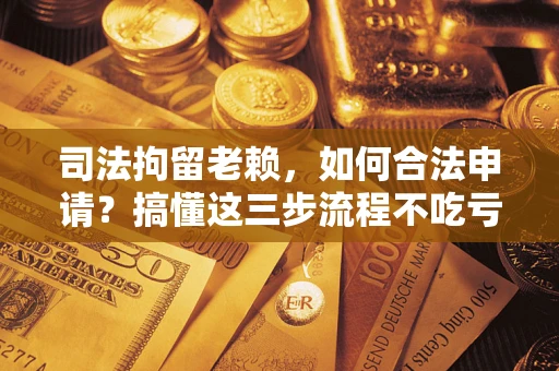武汉司法拘留老赖，如何合法申请？搞懂这三步流程不吃亏！