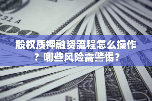 武汉股权质押融资流程怎么操作？哪些风险需警惕？