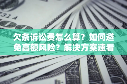 武汉欠条诉讼费怎么算？如何避免高额风险？解决方案速看！