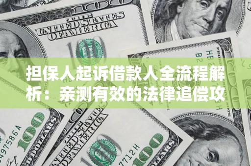 武汉担保人起诉借款人全流程解析：亲测有效的法律追偿攻略