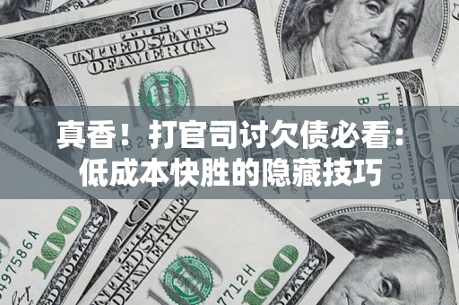 武汉真香！打官司讨欠债必看：低成本快胜的隐藏技巧