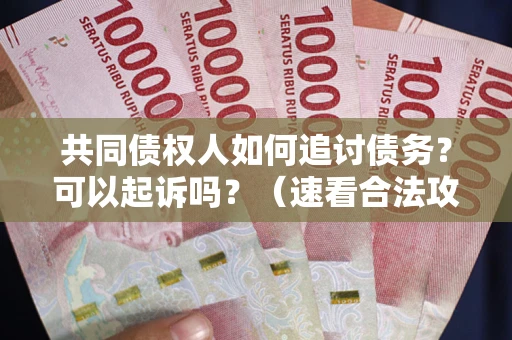 武汉共同债权人如何追讨债务？可以起诉吗？（速看合法攻略）