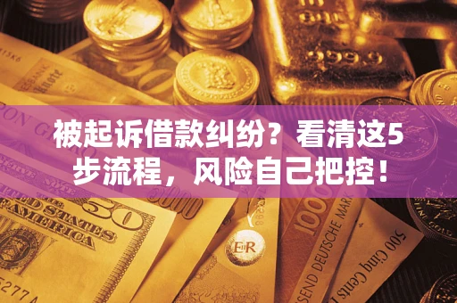 武汉被起诉借款纠纷？看清这5步流程，风险自己把控！