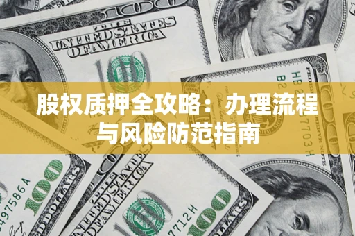 武汉股权质押全攻略：办理流程与风险防范指南