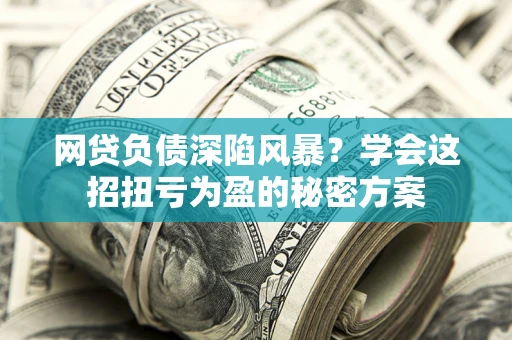 武汉网贷负债深陷风暴？学会这招扭亏为盈的秘密方案