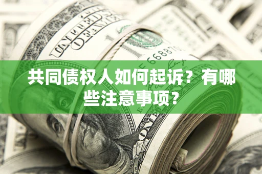 武汉共同债权人如何起诉？有哪些注意事项？